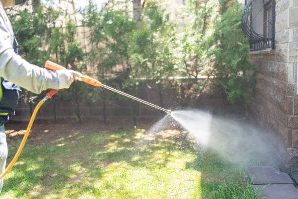 Best Organic or Eco-Friendly Pest Control  in Whitfield, PA